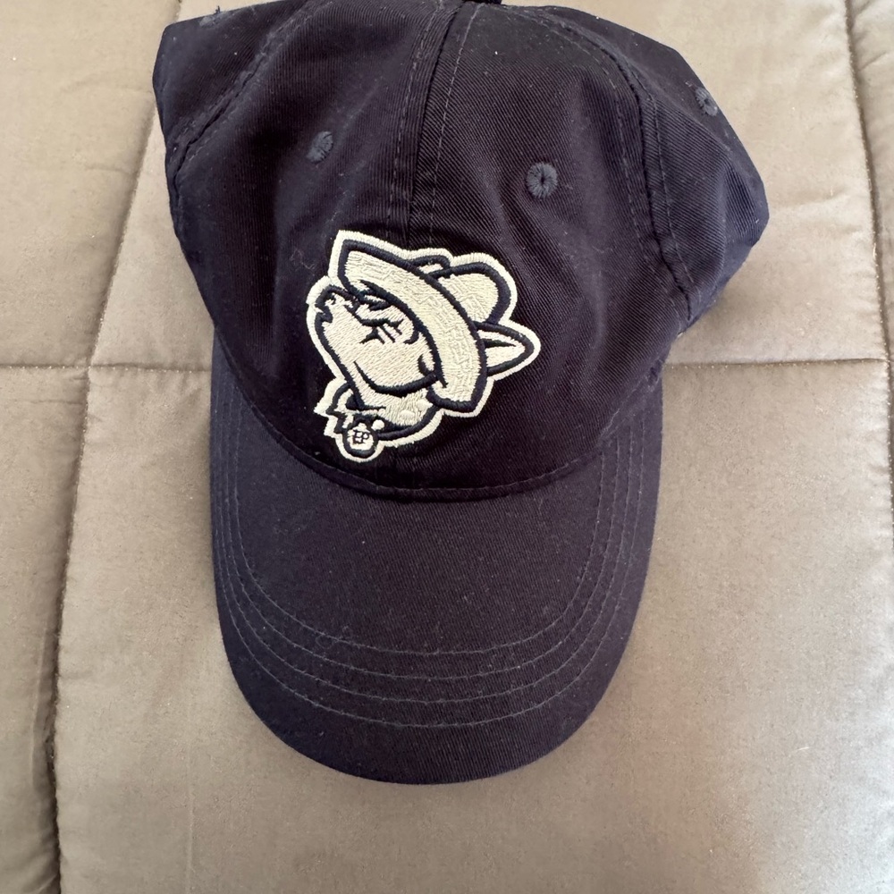 El Paso chihuahuas alternate colors hat-OSFA